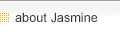 About Jasmine
